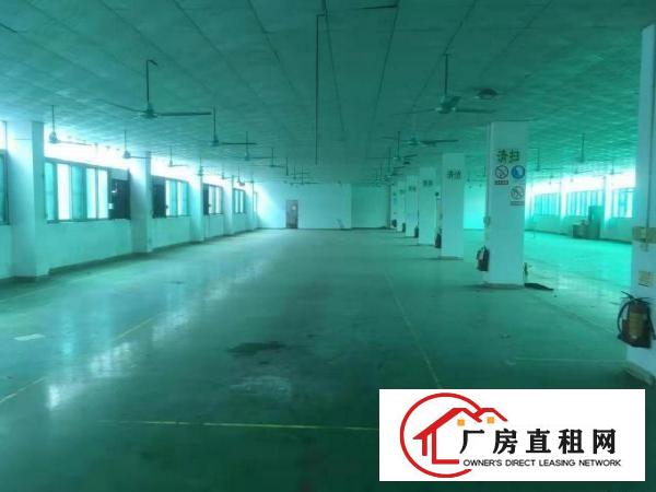  （全实拍！现成塑胶喷油证）清湖头7800平米独院厂房，可分租