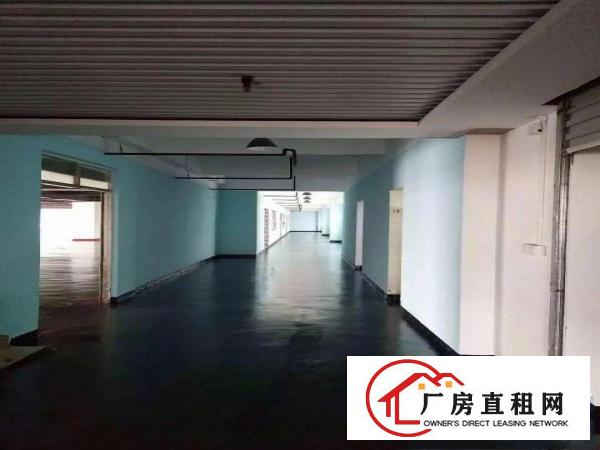  形象优美！原房东5000平方米花园式独栋标准厂房出租