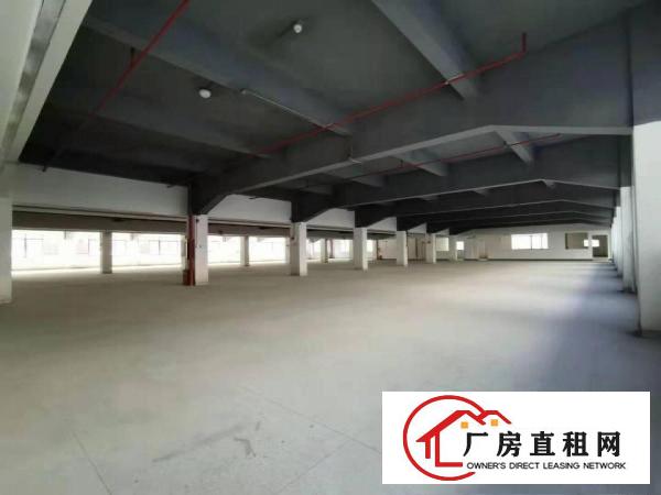  形象优美！原房东5000平方米花园式独栋标准厂房出租