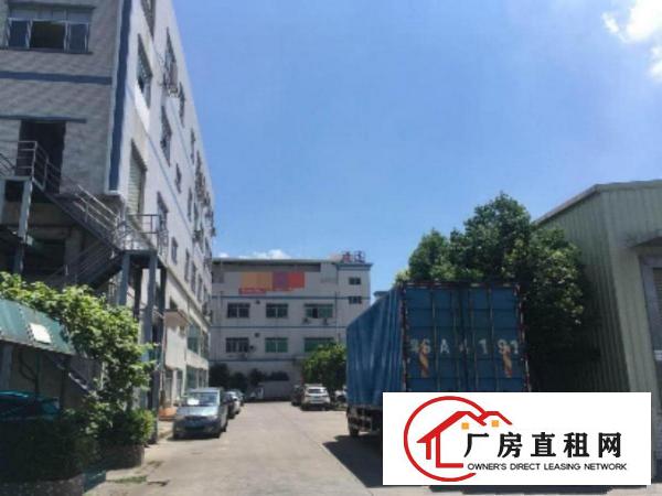  塘厦莲湖商业街650平方米精装修一楼厂房，临花园街/石潭埔/