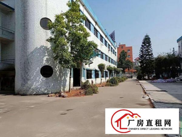  五金，电子~清湖头4200平方消防合格！独院厂房！带水电装修