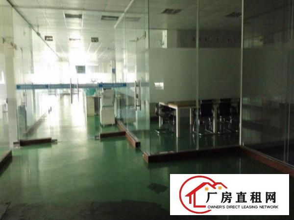  沙湖挨观澜4000平米超优质二层独院厂房，可分租