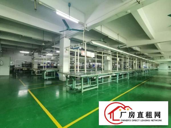  可分租！！塘厦大坪1800平方米二楼标准厂房：有喷淋和办公室