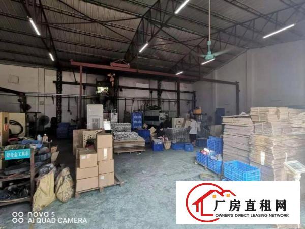  出租塘厦莆心湖1630平方独院厂房，滴水7米750平钢构