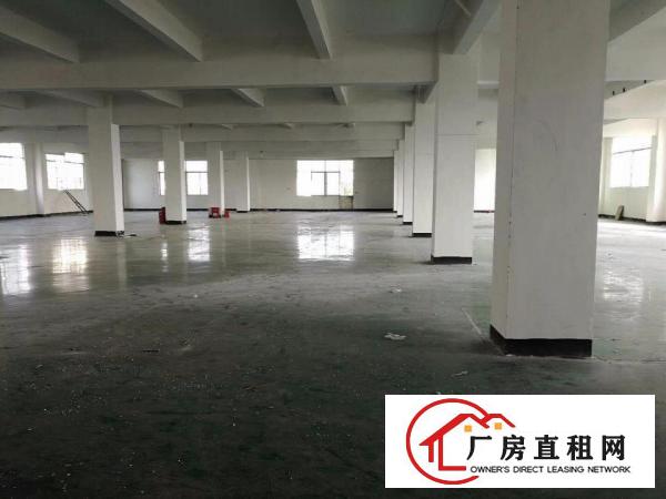 （靠近高速）塘厦蛟乙塘6800平方米独院厂房招租