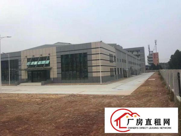  重工业福音！沙湖2500平方米工业园一楼标准厂房！临大坪高速