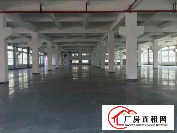 重工业福音！沙湖2500平方米工业园一楼标准厂房！临大坪高速