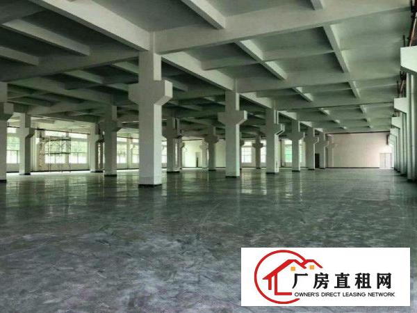  重工业福音！沙湖2500平方米工业园一楼标准厂房！临大坪高速