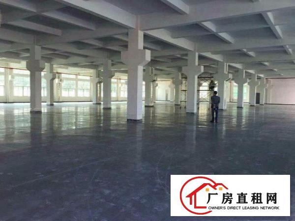  重工业福音！沙湖2500平方米工业园一楼标准厂房！临大坪高速