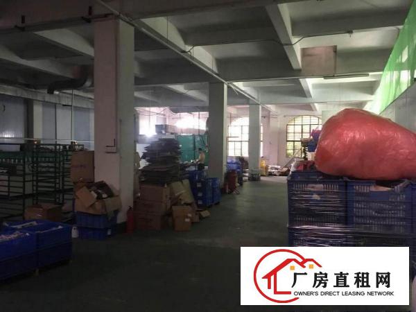  大坪工业园500平方独院一楼厂房，五金设备业