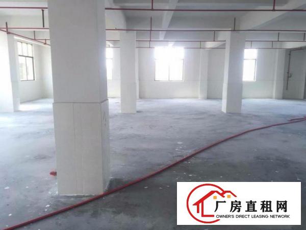  优势：路边好出行 凤凰岗800平方米一楼标准厂房 带喷淋出租