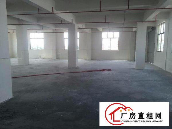  优势：路边好出行 凤凰岗800平方米一楼标准厂房 带喷淋出租