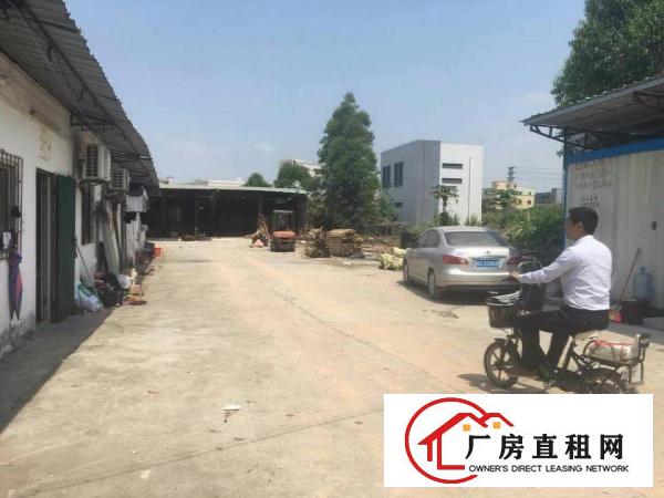  （胶带 废品业）塘厦龙背岭500平方米单一层独院厂房招租