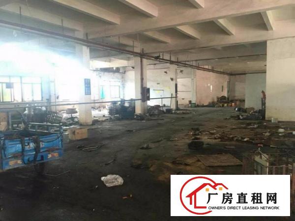  ~~田心700平米原房东一楼厂房，面积实，临四村/龙背岭~~
