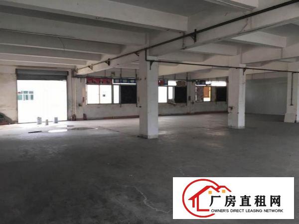  不吃亏不上当！实拍石鼓620平米标准3楼厂房，临石马/清湖头