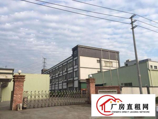  不吃亏不上当！实拍石鼓620平米标准3楼厂房，临石马/清湖头
