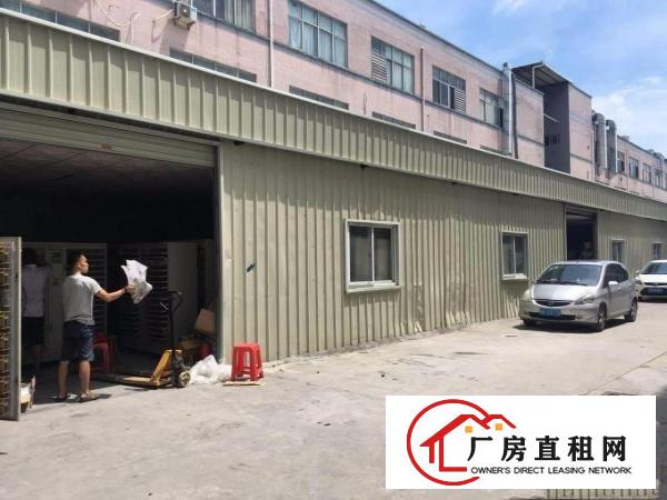  实拍：塘厦大坪高速旁500平方米两个门的铁皮厂房租（手慢无）