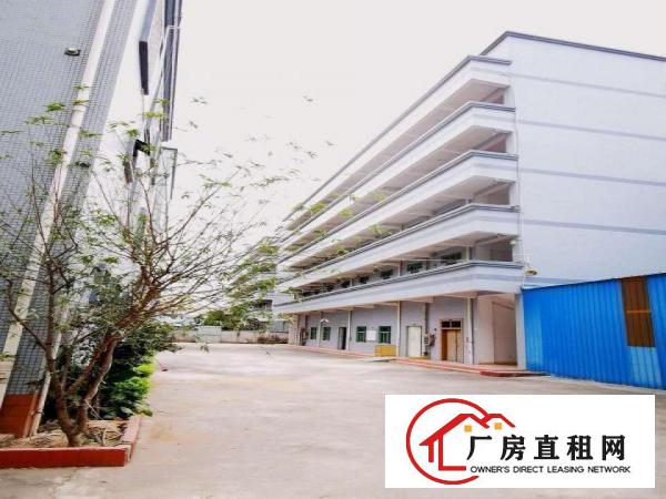  塘厦石鼓标准3楼厂房800平米长方形格局，挨石马/深圳/凤岗