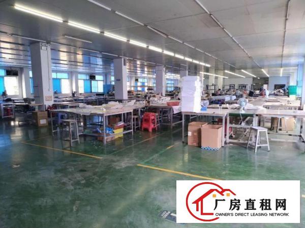  塘厦石鼓标准3楼厂房800平米长方形格局，挨石马/深圳/凤岗