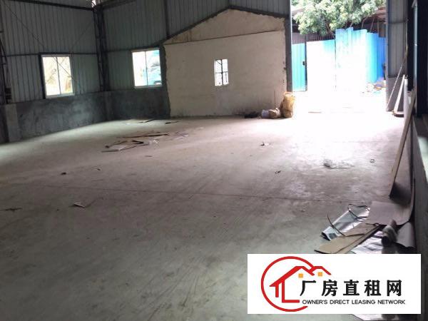  塘厦蛟乙塘独院800平方米钢构厂房/铁皮厂房出租