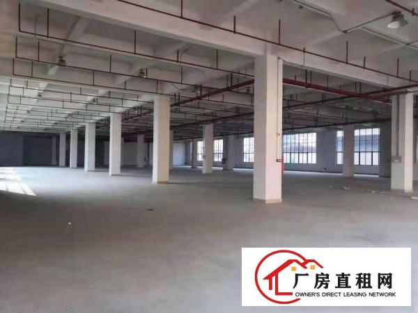  塘厦林村新出示范级高新科创园区4万平方，可分租