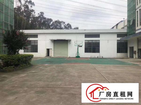  塘厦临深新出滴水9米高单一层钢构厂房1000㎡