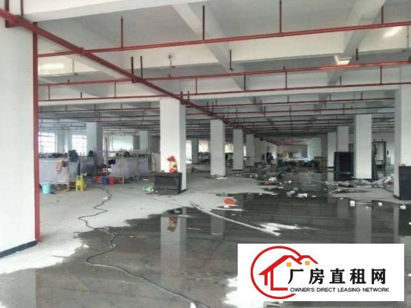  莆心湖工业区分租楼上1600平方现成地坪漆豪华装修