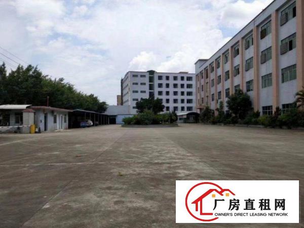  振兴围独院厂房分租2楼1300平方地坪漆办公室齐全