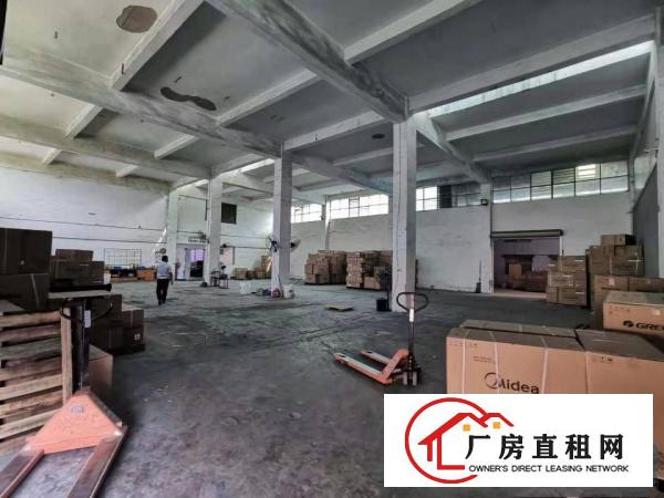  塘厦石潭布1200平方一楼原房东带红本厂房，临莲湖/花园街