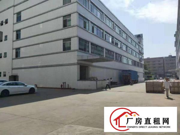  塘厦石潭布1200平方一楼原房东带红本厂房，临莲湖/花园街