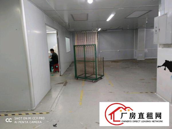 现成一楼无尘厂房300平方