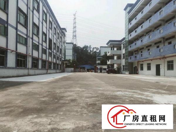  独院厂房招租《可分租》