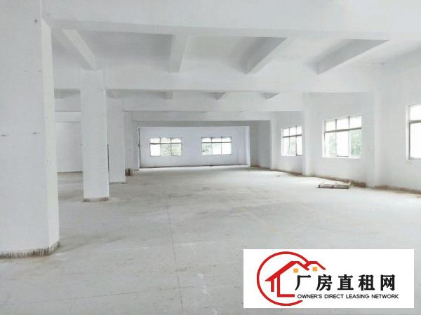  独院厂房招租《可分租》