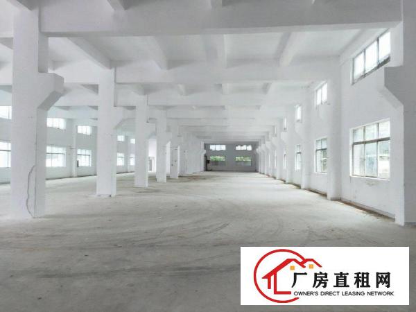 独院厂房招租《可分租》