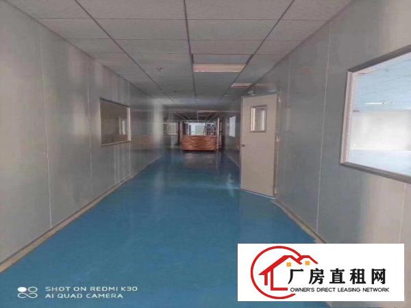  塘厦现成无尘车间出租