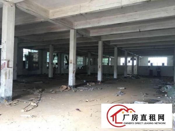  桥陇超重工业2000平方米独院厂房，临东深二线/凤岗/深圳/