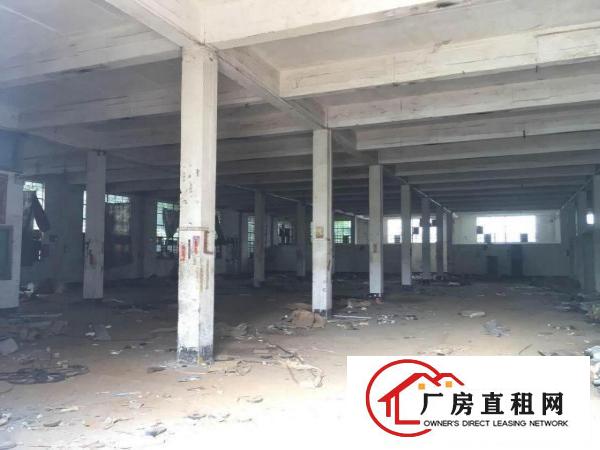  桥陇超重工业2000平方米独院厂房，临东深二线/凤岗/深圳/