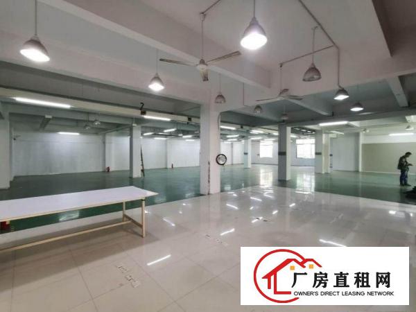  【塘厦四村1500平米工业园二楼厂房，内有消防和线路】