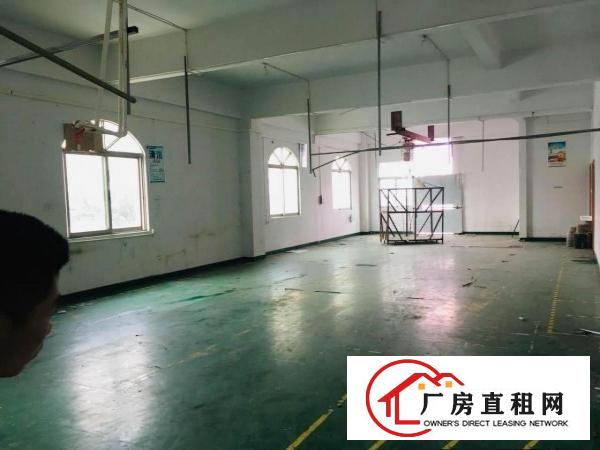  塘厦沃尔玛550平米豪华装修办公室，电商贸易研发