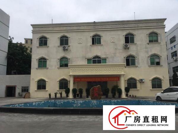  塘厦沃尔玛550平米豪华装修办公室，电商贸易研发