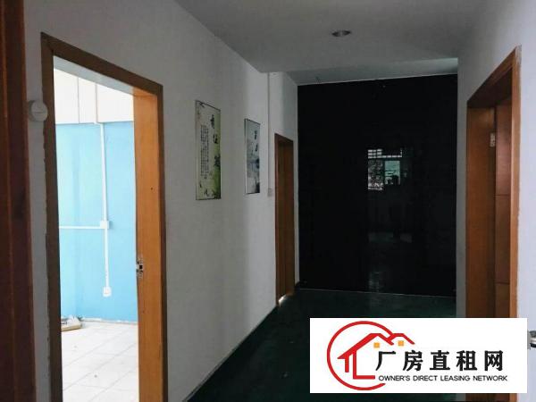  塘厦沃尔玛550平米豪华装修办公室，电商贸易研发