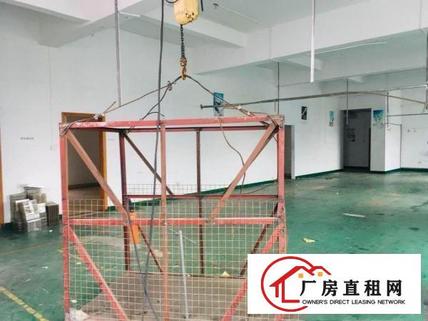  塘厦沃尔玛550平米豪华装修办公室，电商贸易研发