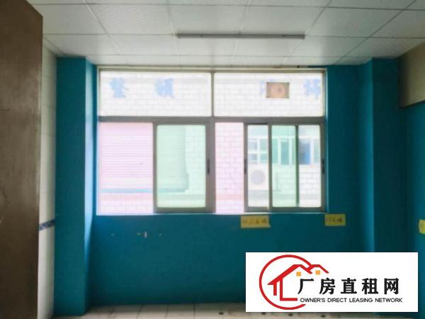  塘厦沃尔玛550平米豪华装修办公室，电商贸易研发