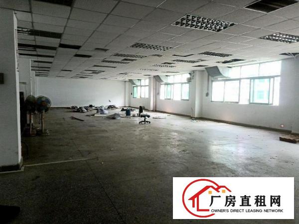  石鼓原房东二楼850平带精装出租