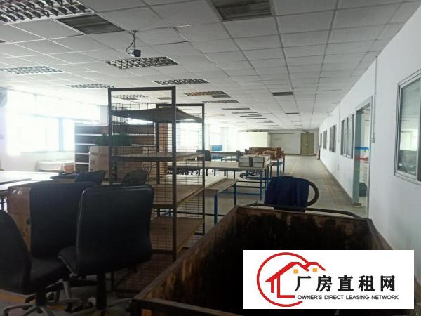  石鼓原房东二楼850平带精装出租