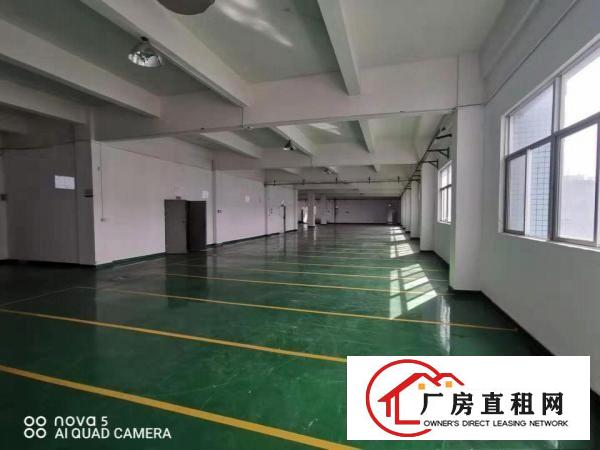  塘厦东浦市场附近500平方米/层2至3楼厂房招租，可整/分租