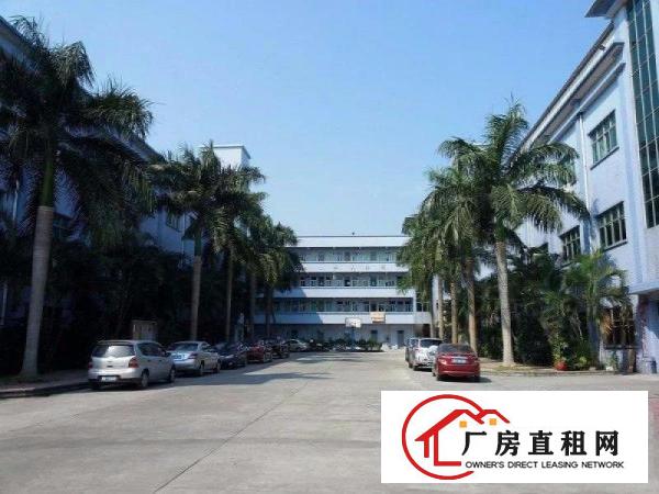  挨观澜和高速，大坪原房东7380平方米独院厂房出租