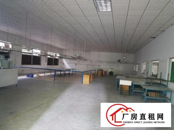  【~沙湖300，500，630，800平楼上厂房，精装修~】