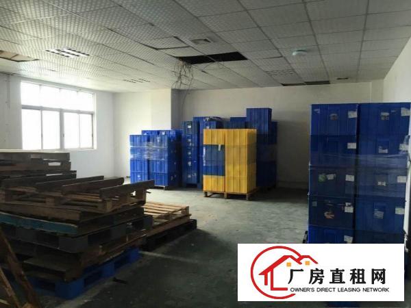  【~沙湖300，500，630，800平楼上厂房，精装修~】