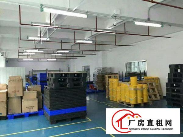  。电子线材。塘厦科苑城2000平米豪装标准楼上厂房带喷淋。。